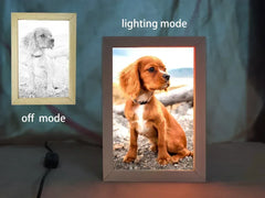 Personalized 3D Magic LED Photo Frame | Night Sketch to Colorful Glow Gift - DOWSE FRAMING